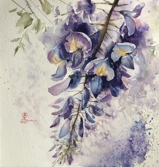 Wisteria#2