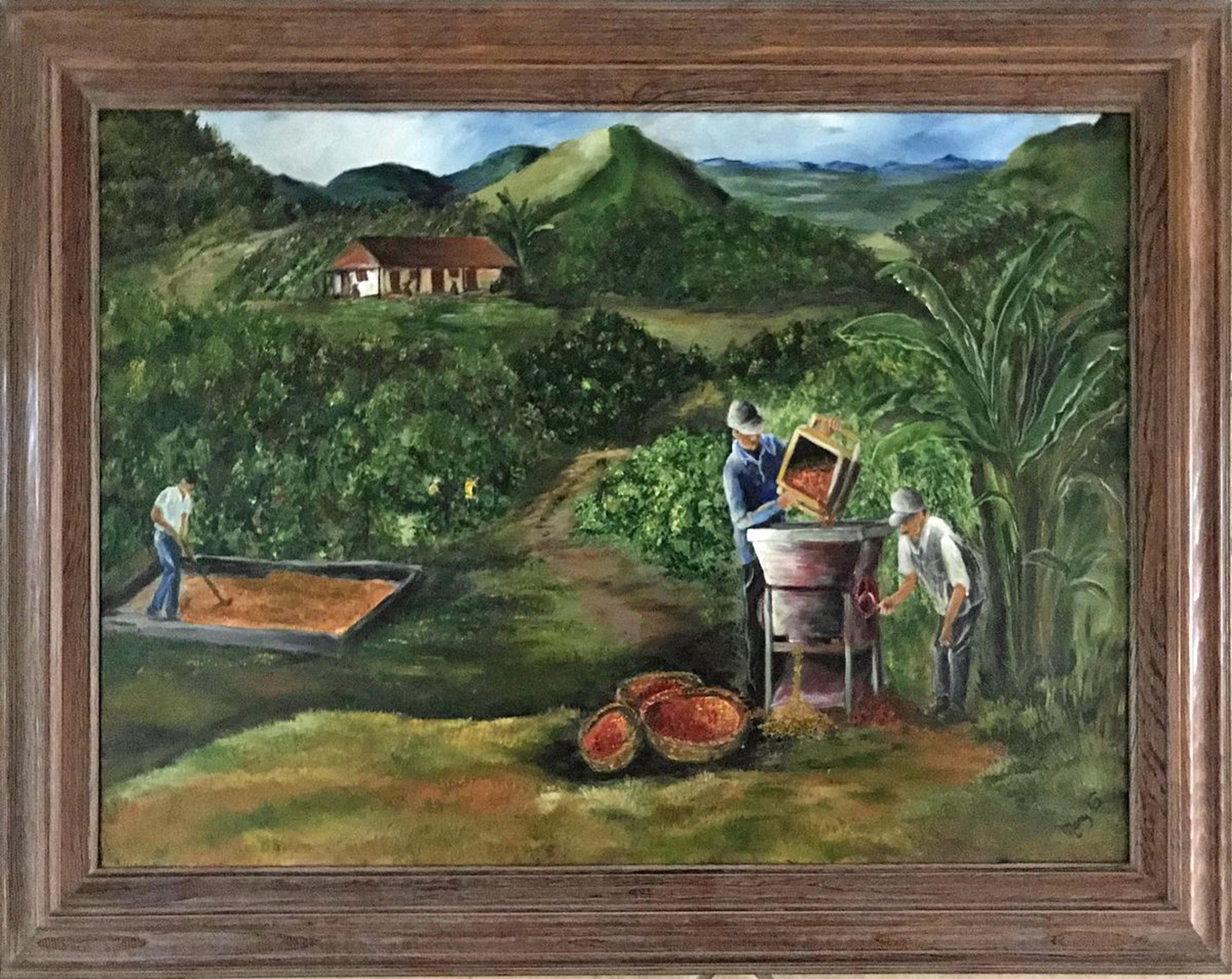 Harvesting Coffee Bean Original Landscape Oil Pa Artfinder