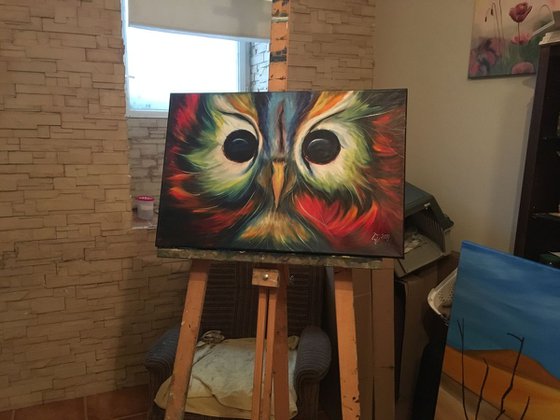 Owl