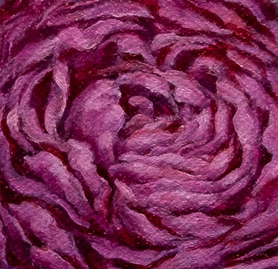 Raspberry Peony
