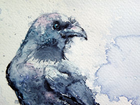 Crow