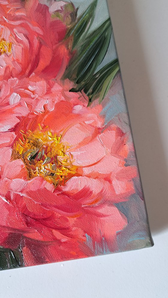 Coral Peony