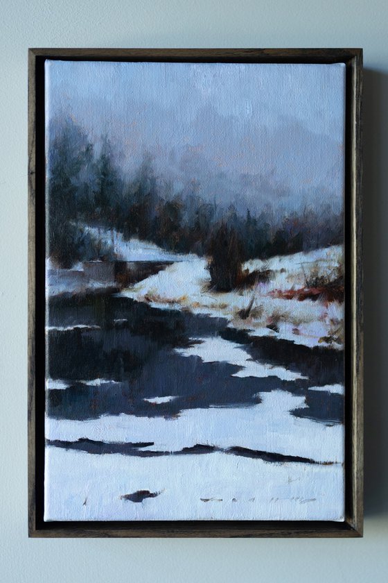 Icy Reflections