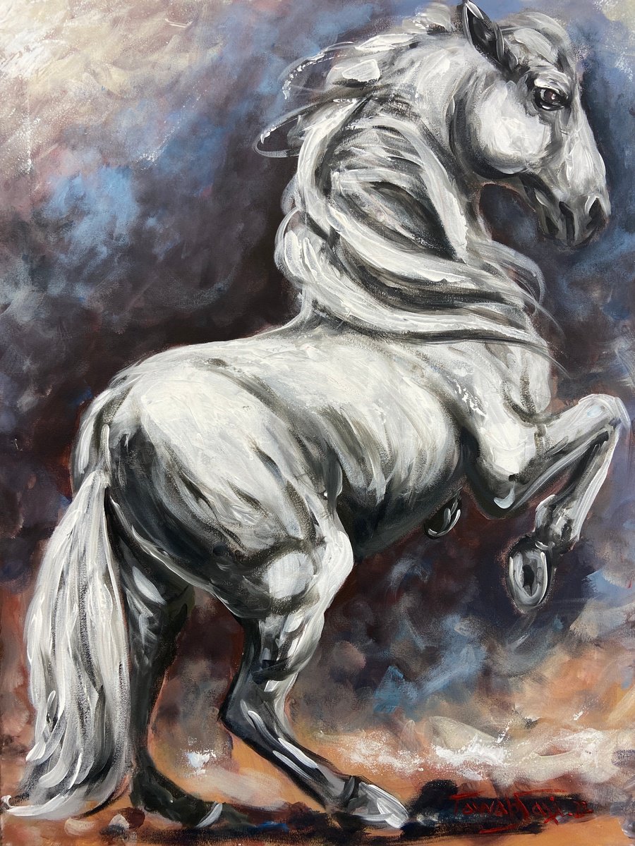 White horse by Tawab Safi