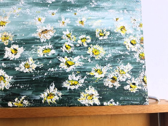 Daisies 1