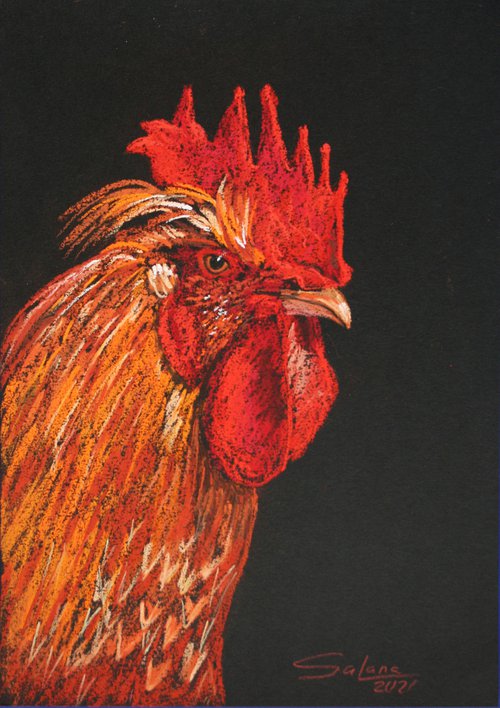 Rooster IX - Pet portrait /  ORIGINAL PAINTING by Salana Art Gallery