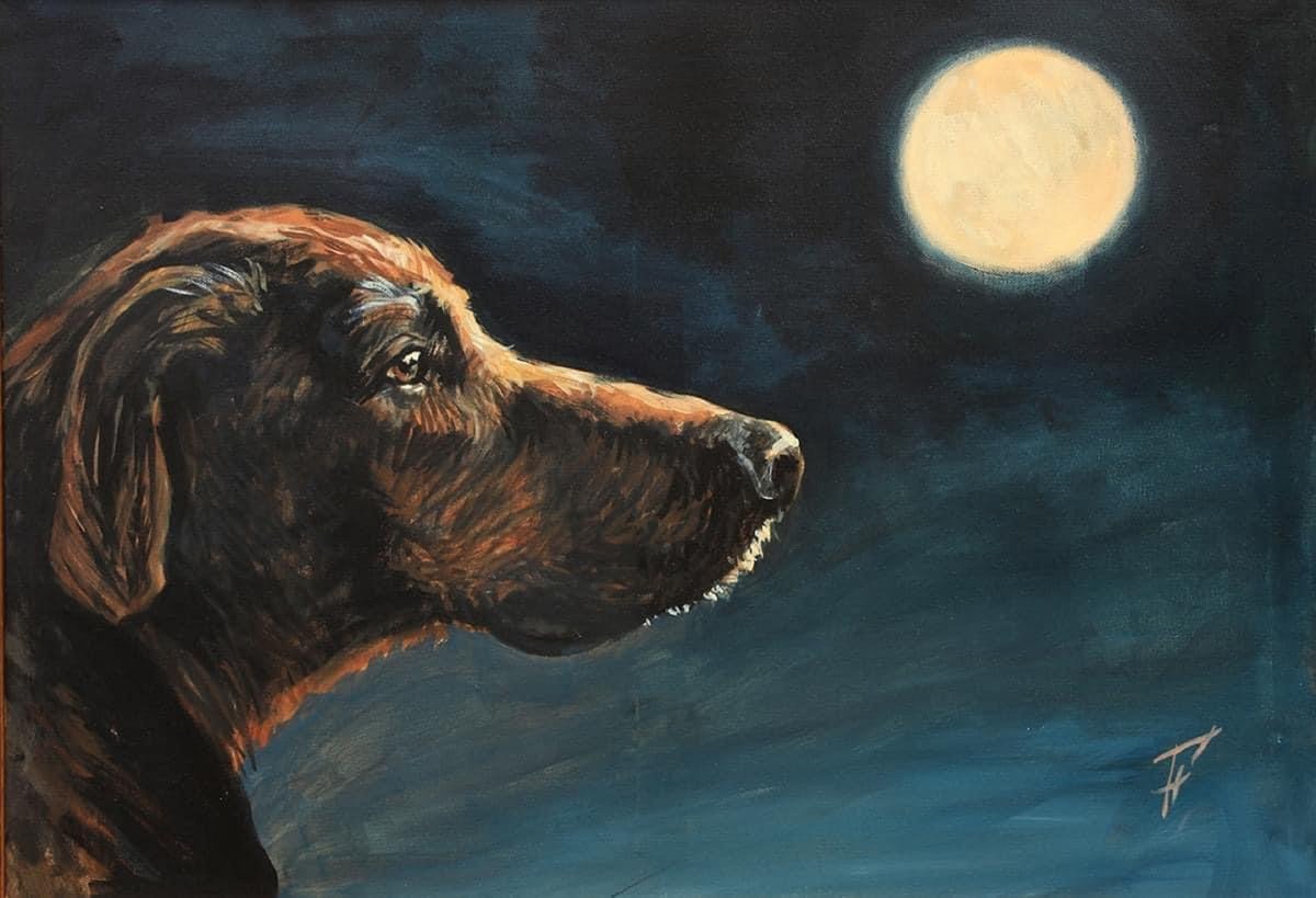 Impressionistic Animal Acrylic Painting By Nikola Gulev, 28 X 20", "Dreamer And The Moon", Original Artwork