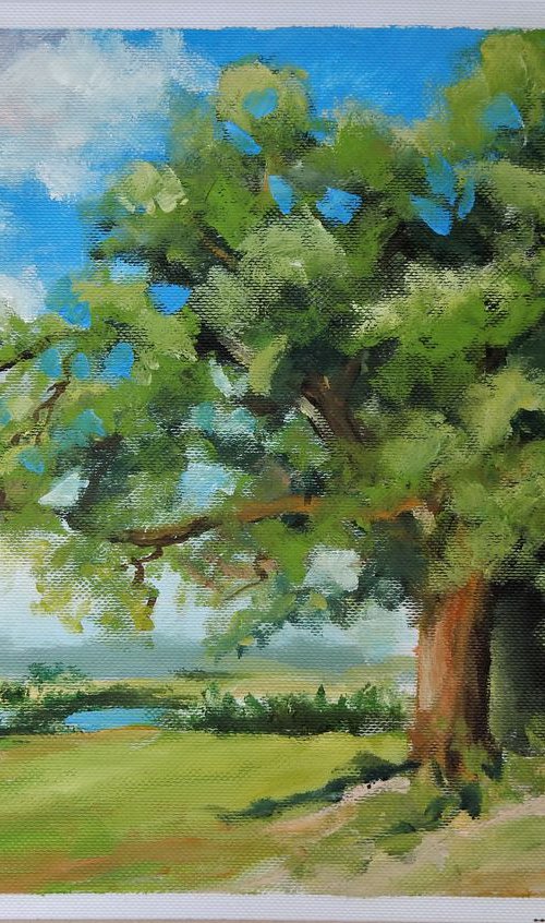 Landscape with a tree by Vita Schagen