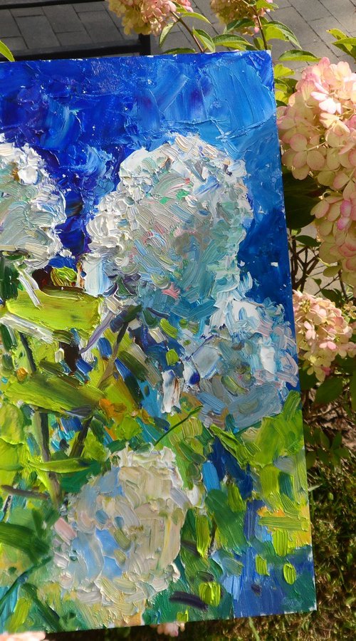 " Hydrangeas " by Yehor Dulin