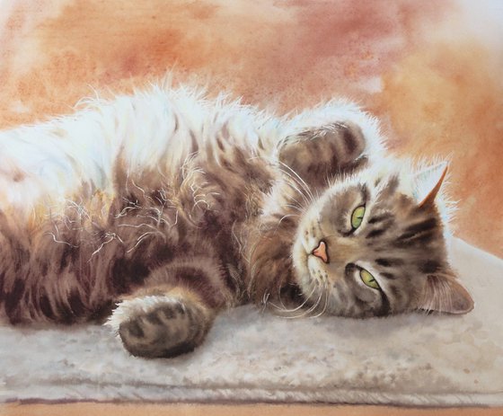 Fluffy Cat Sunshine