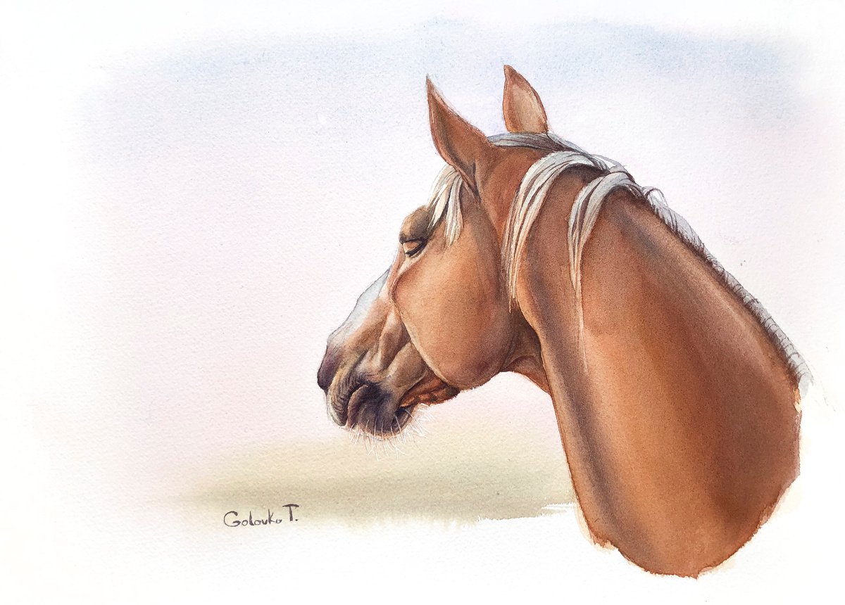 Horse portrait by Tatiana Golovko