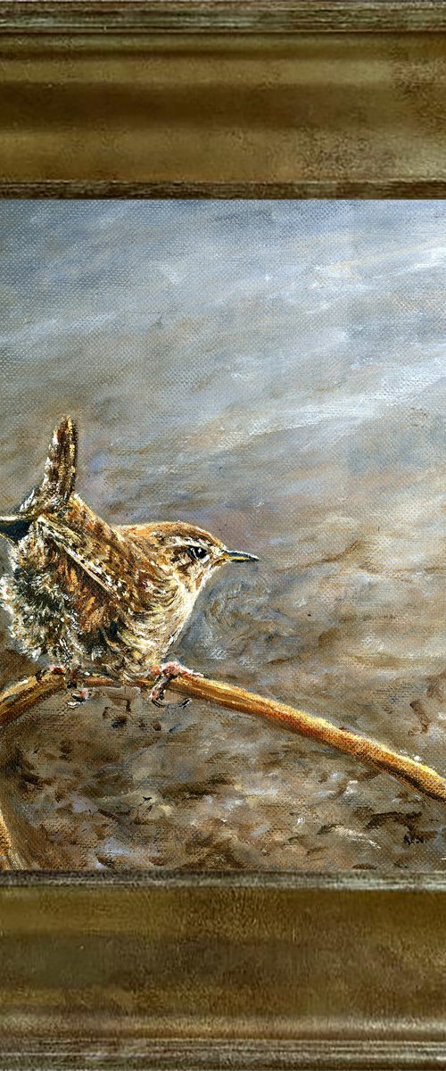 Wren by Una Hurst