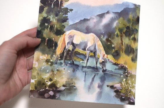 White horse at the forest river