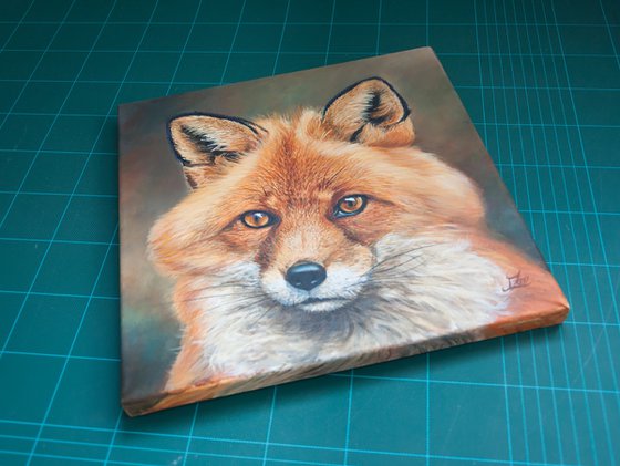 Red fox portrait