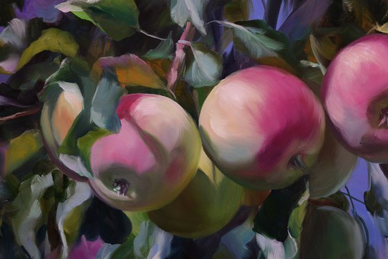 "Apples in the garden"