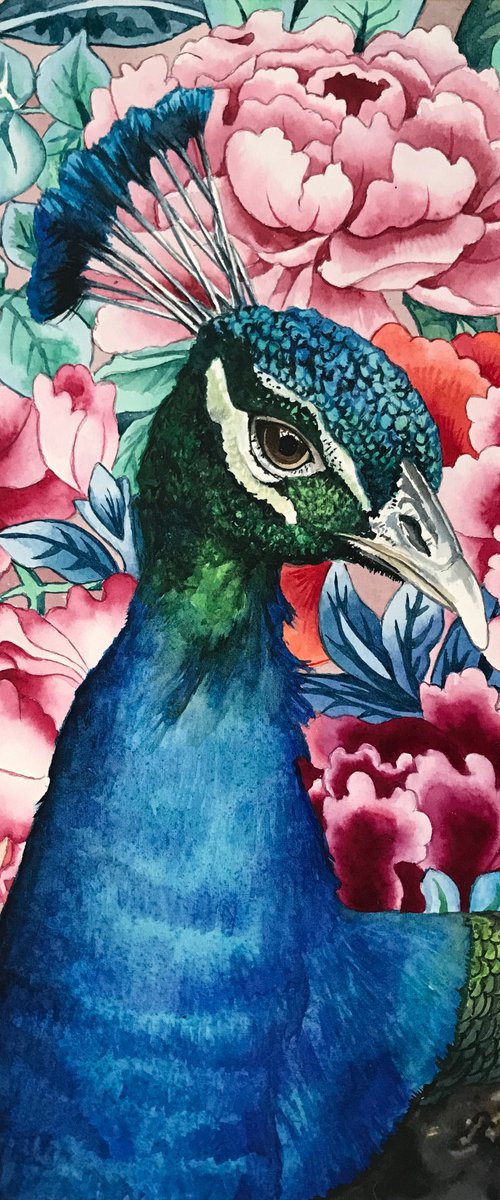 Peacock and Flowers by Lisa Lennon