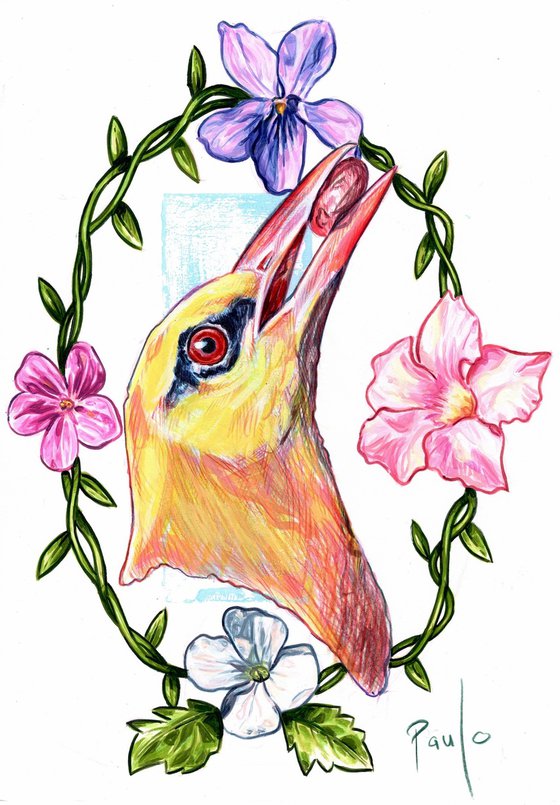Golden oriole in bloom