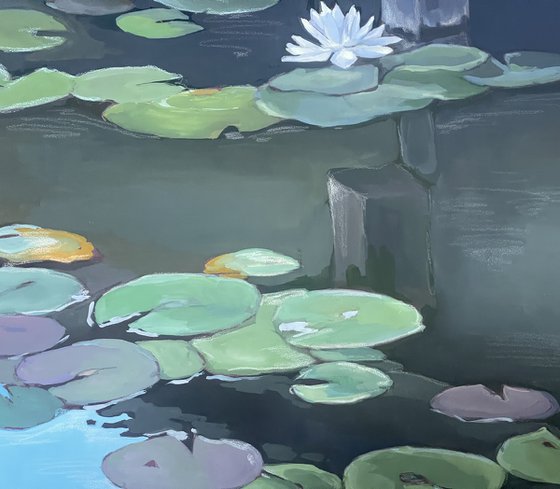 Under the bridge.Water lilies.