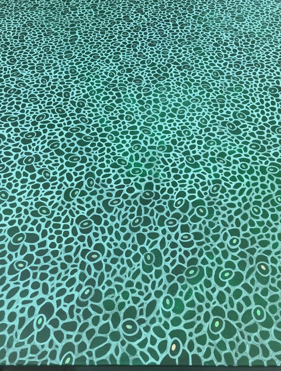 Variegated 21