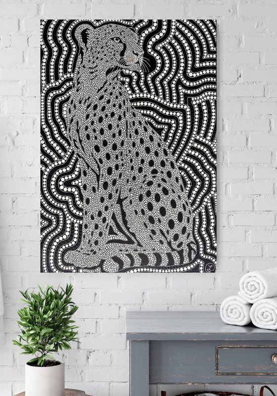 Wild Illusion