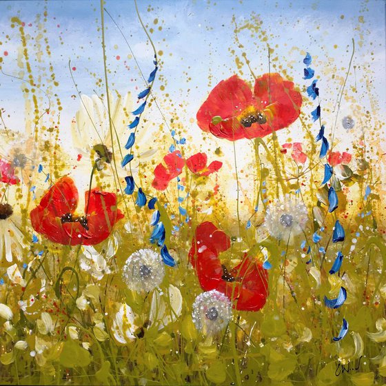 Poppies Joy Meadow