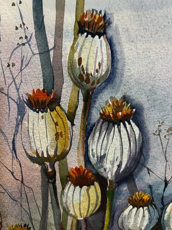 Dry Poppies