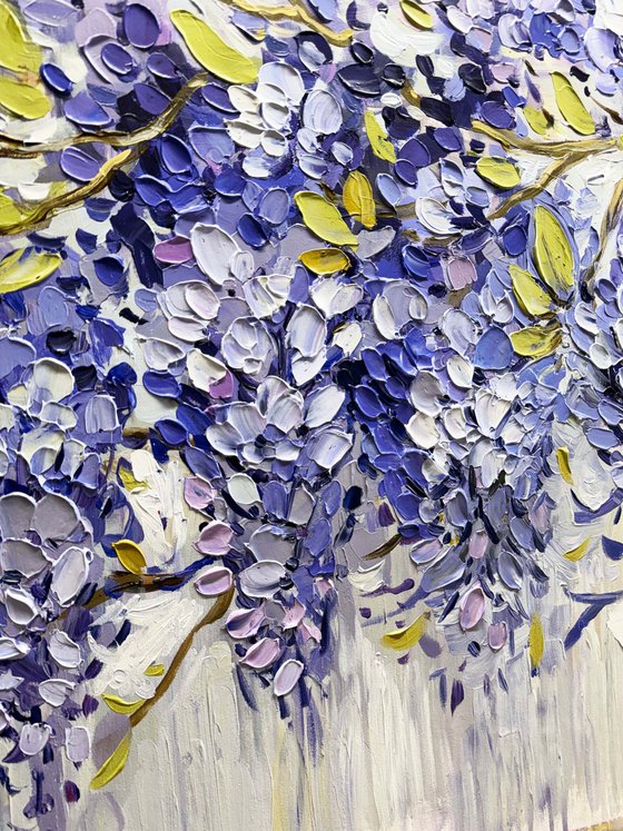 Wisteria