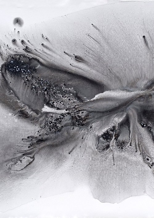 Nature 579 — Abstract Windswept Feather by Muriel Napoli