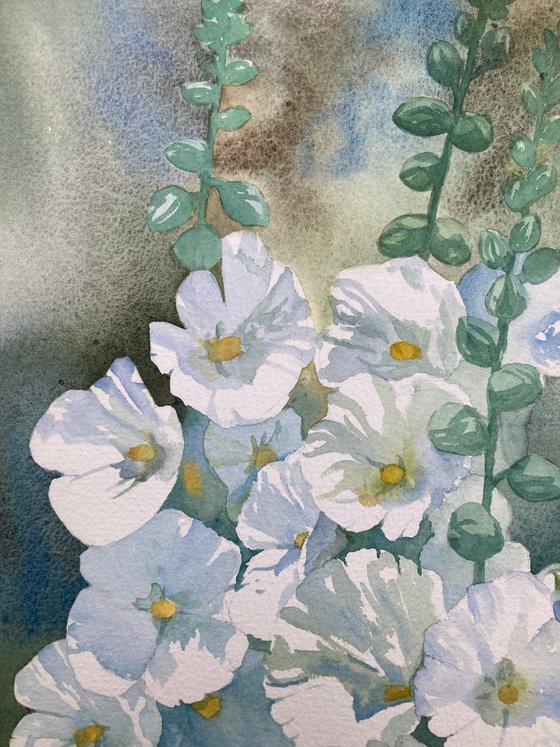 White Hollyhocks