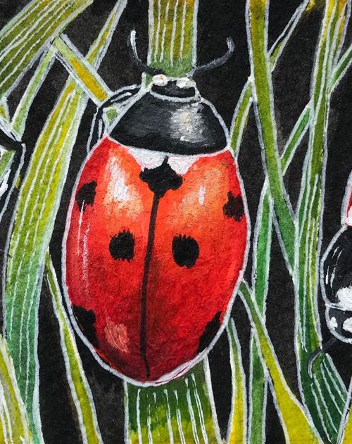 A loveliness of ladybirds 1 by Karen Elaine  Evans