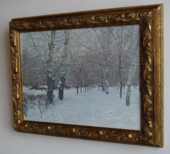 Snow-covered boulevard in Maryino