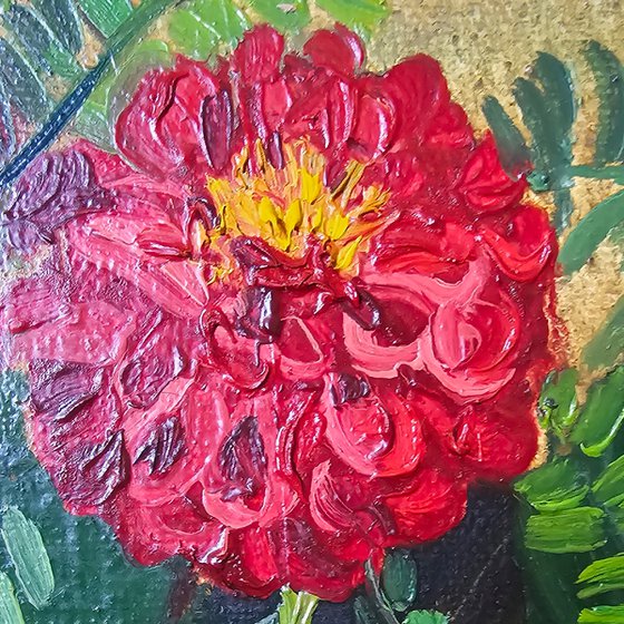 Dahlias