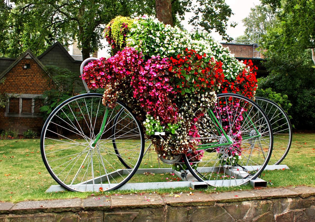 Flower Bike by Vincent Abbey
