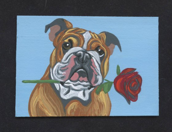 ACEO ATC Original Painting Valentine English Bulldog Pet Dog Art-Carla Smale