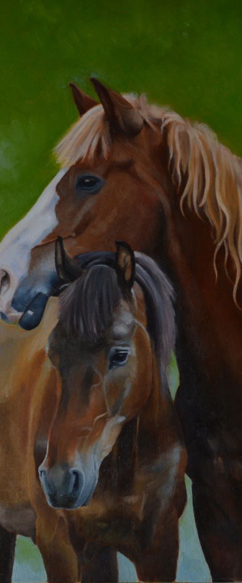 original oil painting horses by Paola Alì