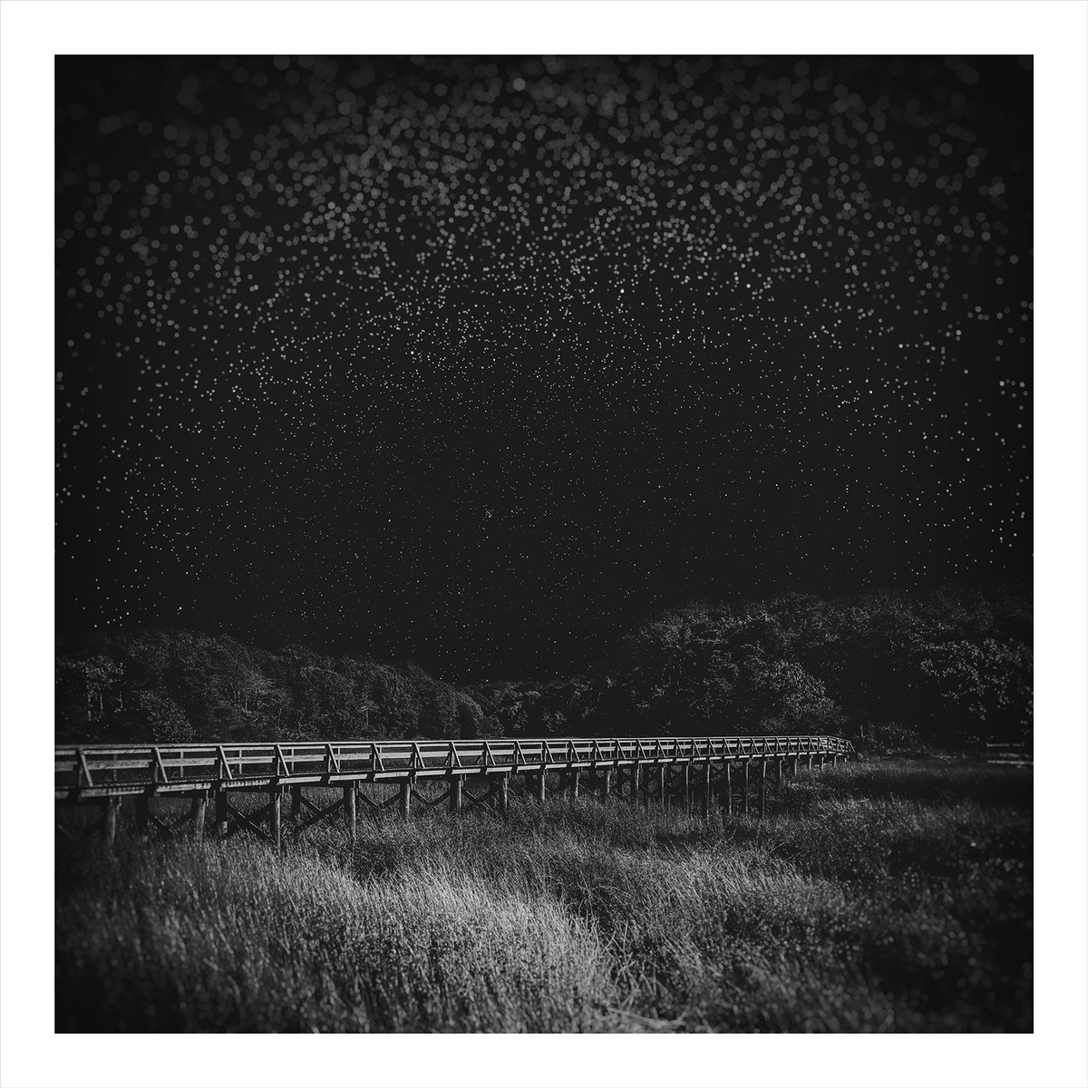 Photorealistic Landscape Photograph By Brooke T Ryan, 30 X 30, Uncle Tim