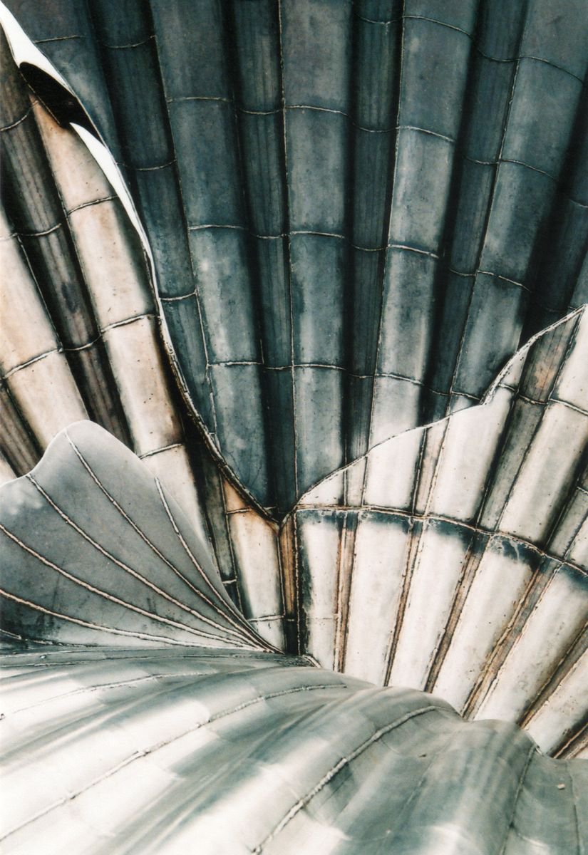 Photorealistic Abstract Photograph By Justice Hyde, 20 X 28", A Shell Of Steel 3 - Unmounted, Original Artwork