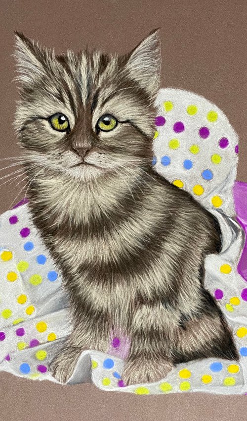 Kitten unwrapped by Maxine Taylor