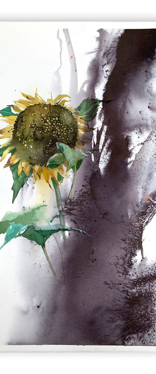 Sunflower by Tania Zubareva