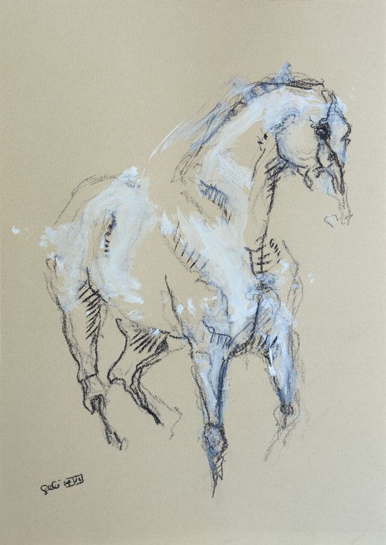 Equine Nude 187