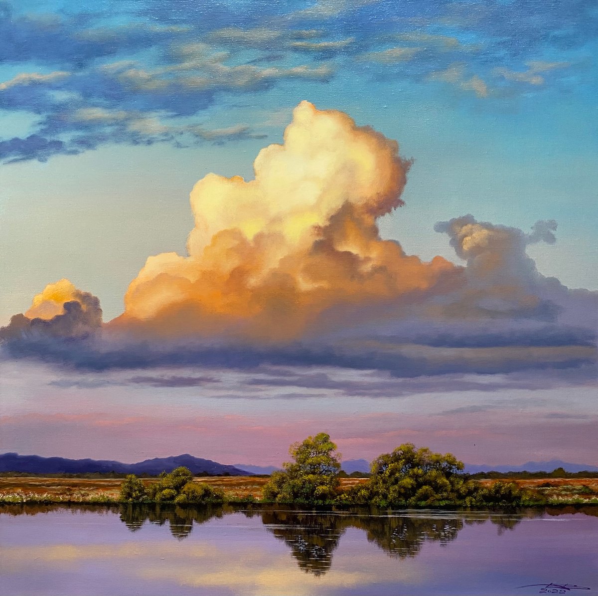 Cloud Oil painting by Igor Dubovoy | Artfinder