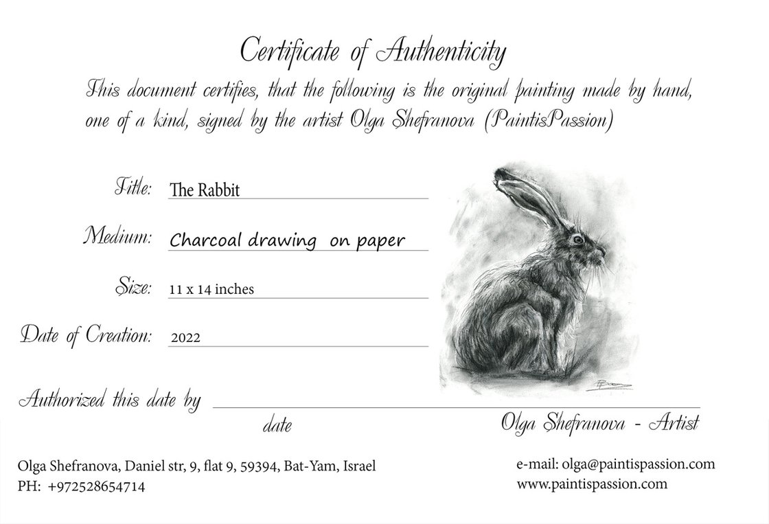 the-rabbit-charcoal-drawing-charcoal-drawing-olga-tchefranov-shefranov-artfinder