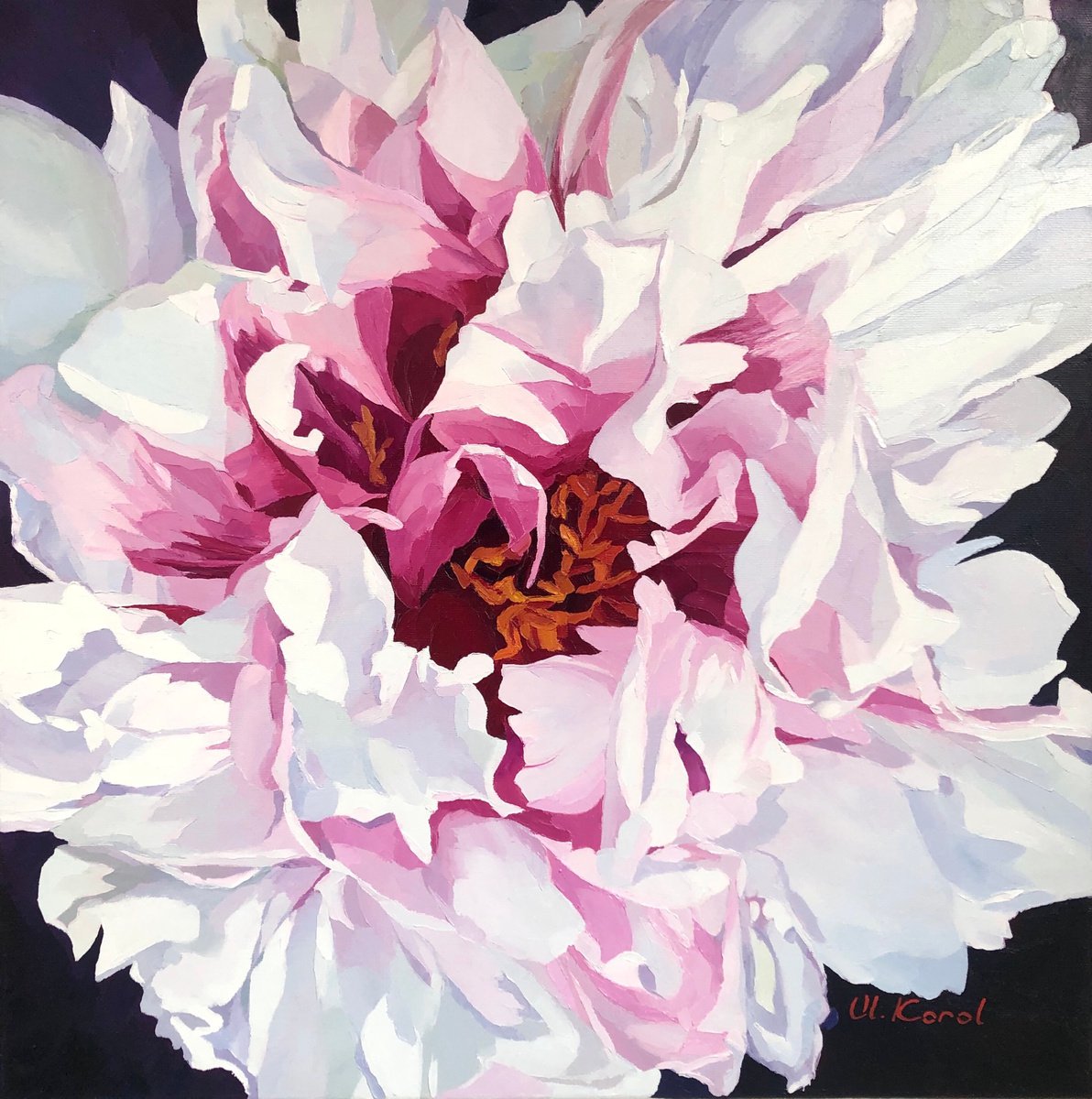 Photorealistic Botanical Oil Painting By Ulyana Korol, 20 X 20", La Vie En Rose, Original Artwork