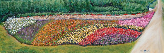 Flowerbed, South Holly