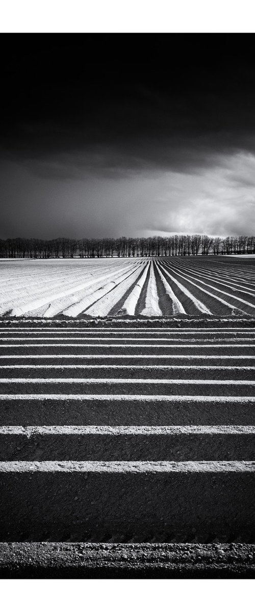 April Field by David Baker