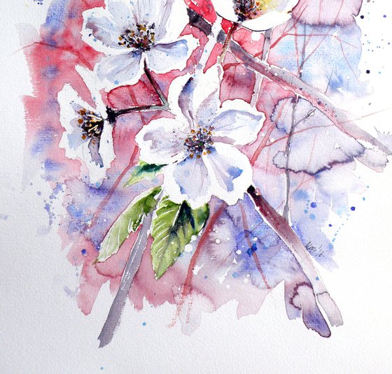 Spring