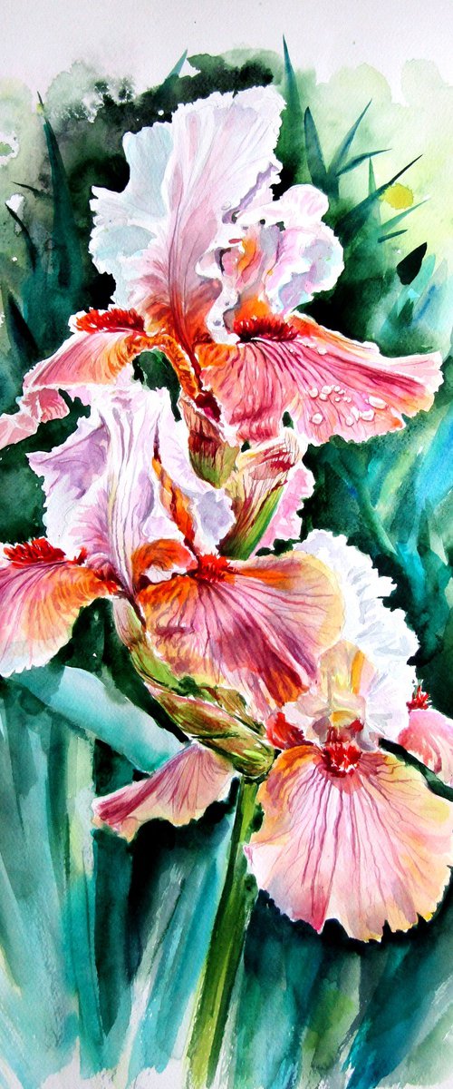 Iris II by Kovács Anna Brigitta