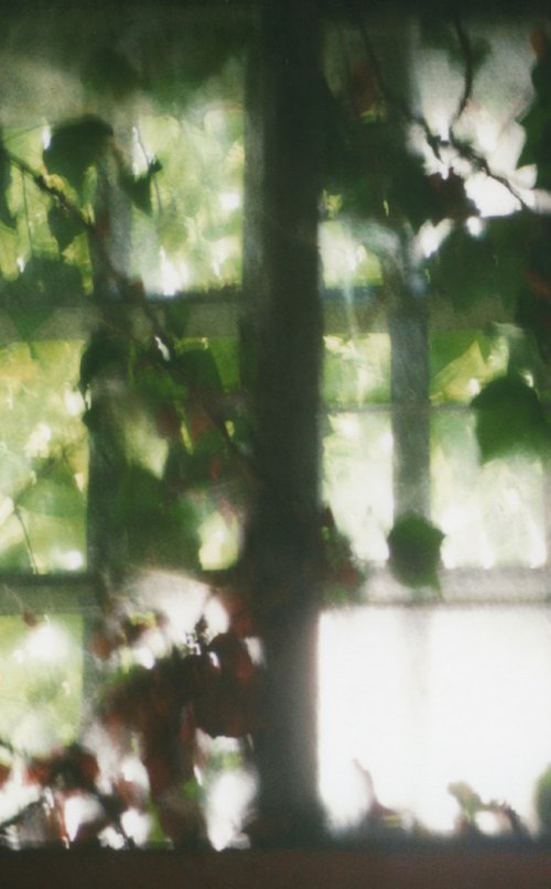 In A Dream State - Unmounted by Justice Hyde