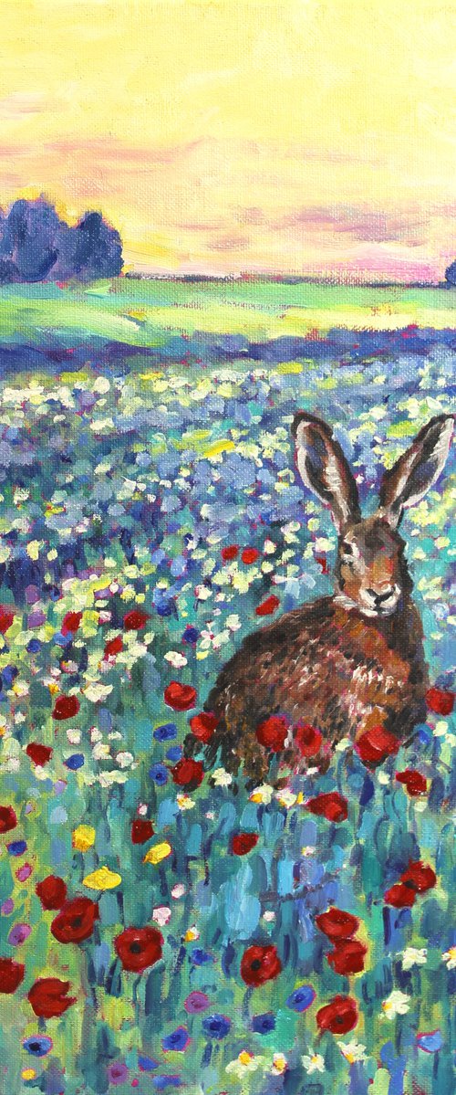 Morning Hare by Zoe Elizabeth Norman