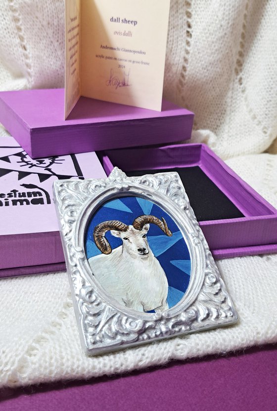 Dall sheep, part of framed animal miniature series "festum animalium"